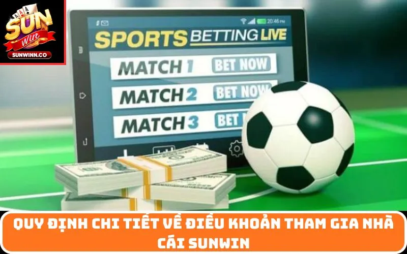 Quy định chi tiết về Điều Khoản Tham Gia nhà cái SUNWIN