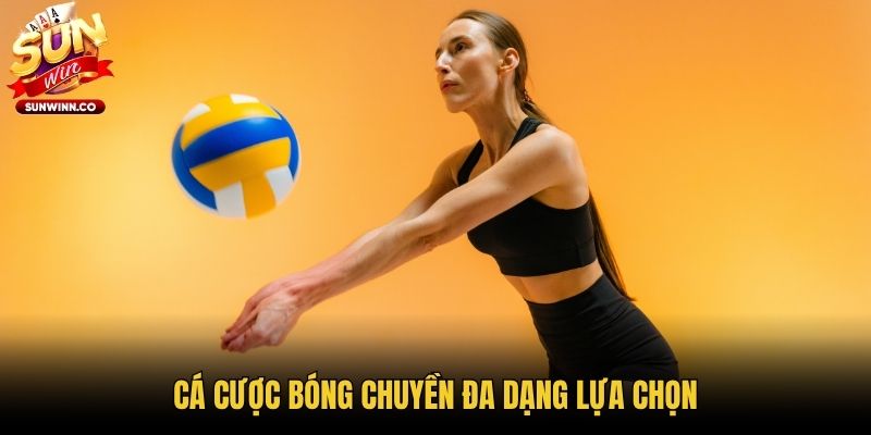 Cá cược bóng chuyền đa dạng lựa chọn