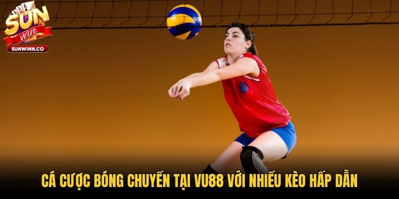 Cá cược bóng chuyền tại VU88 với nhiều kèo hấp dẫn