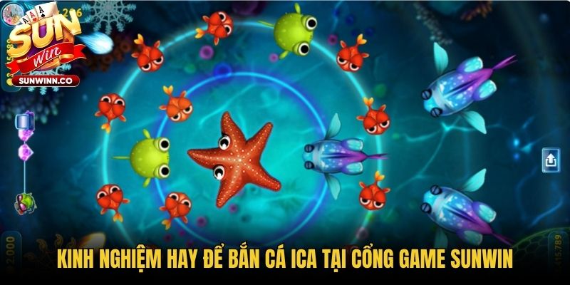 Kinh nghiệm hay để bắn cá ICA tại cổng game Sunwin